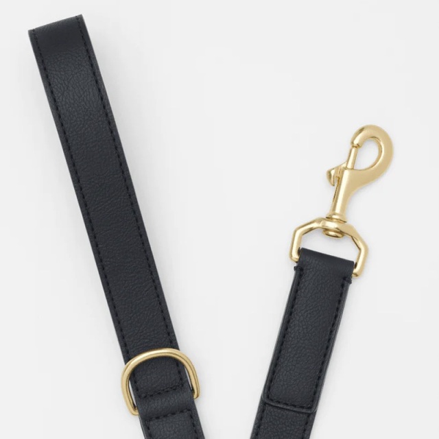 BY SCOUT Mela Basic リード