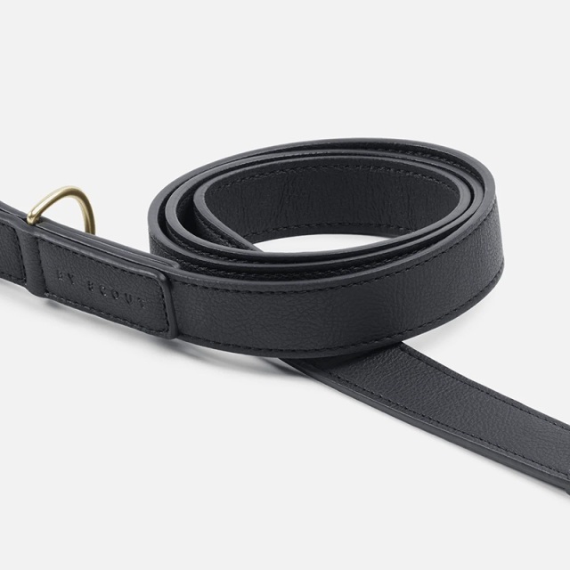 BY SCOUT Mela Basic リード