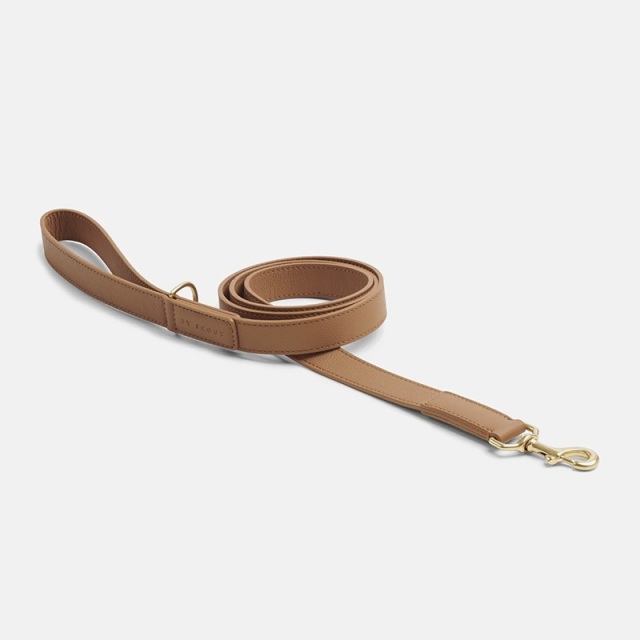 BY SCOUT Mela Basic リード