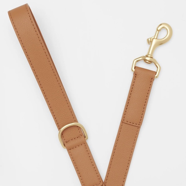 BY SCOUT Mela Basic リード