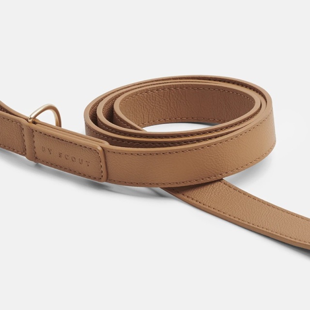 BY SCOUT Mela Basic リード