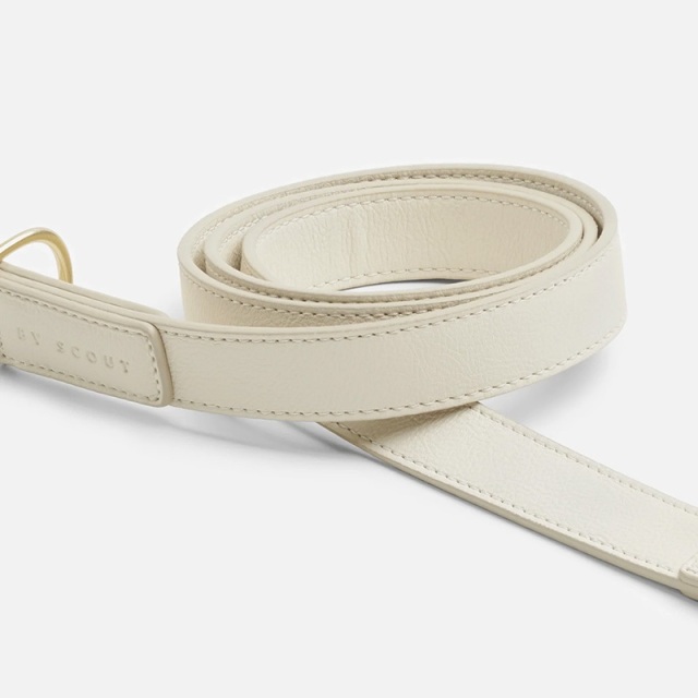 BY SCOUT Mela Basic リード