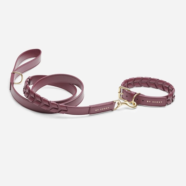 BY SCOUT Mela Caspita 首輪