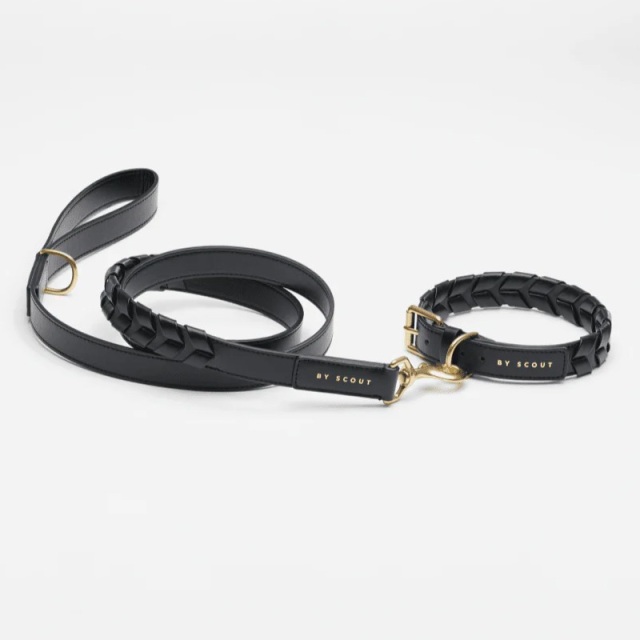 BY SCOUT Mela Caspita 首輪