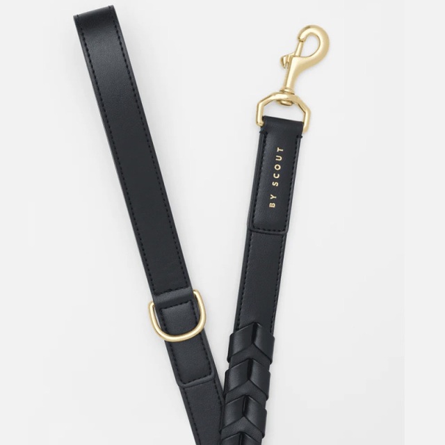 BY SCOUT Mela Caspita リード