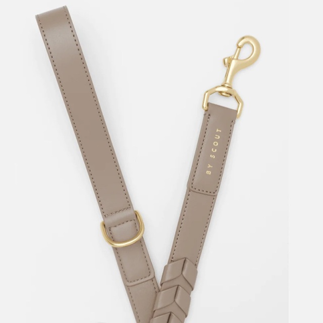 BY SCOUT Mela Caspita リード