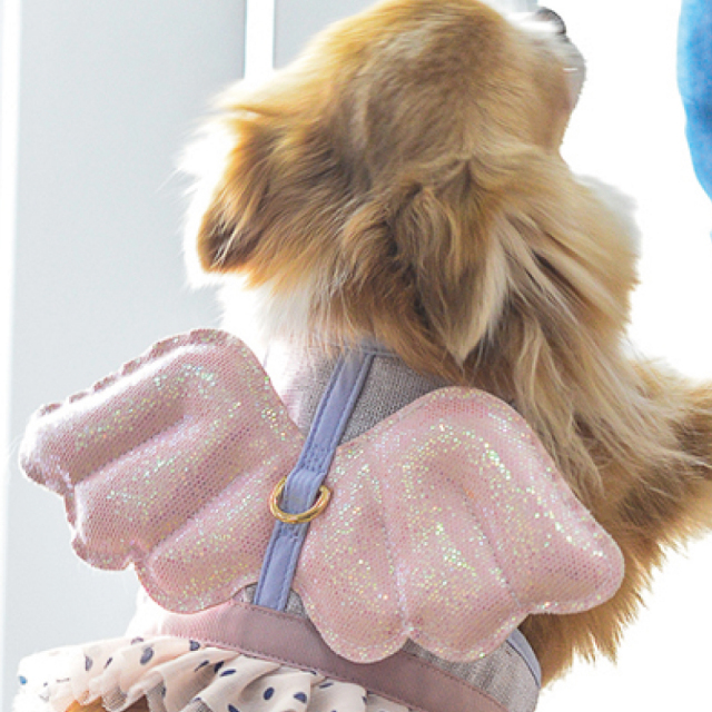 GLITTER POOCH グリッター・プーチ violetta-little-wing