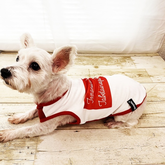 たまにはちゃうもん