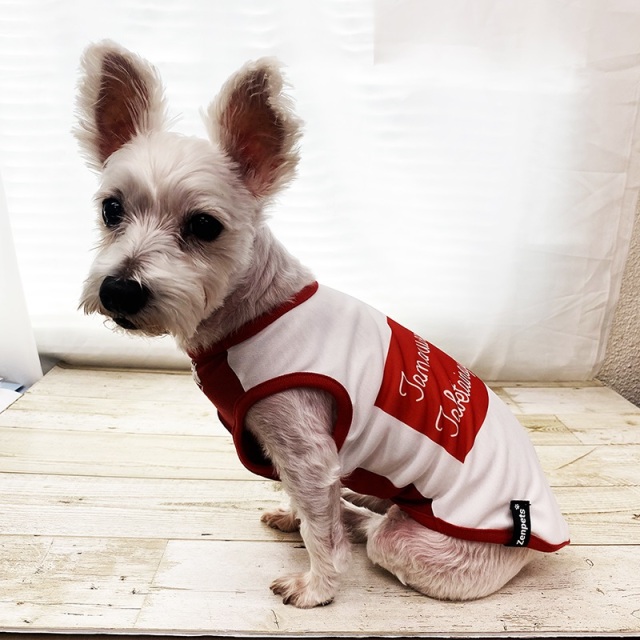 たまにはちゃうもん