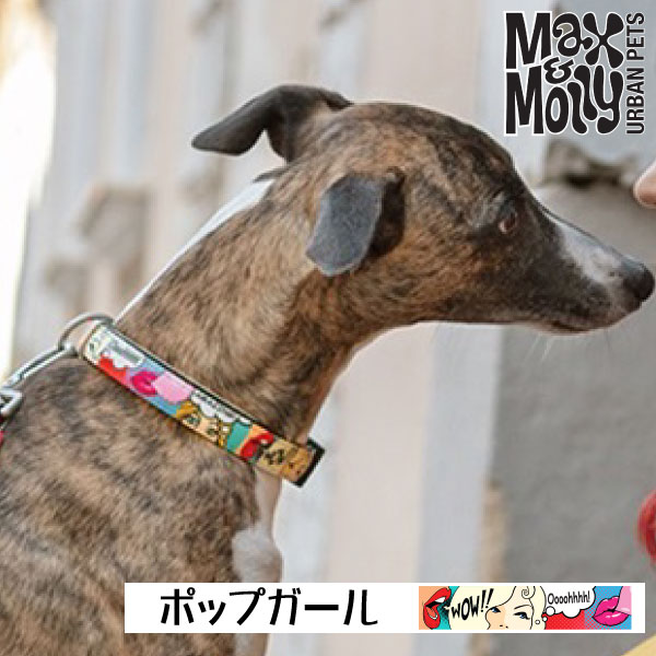 犬用 デジタル迷子札付き 首輪 カラー Max＆Molly Original Gear ポップガール QRコード