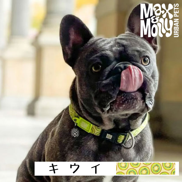 犬用 デジタル迷子札付き 首輪 カラー Max＆Molly Original Gear キウイ QRコード