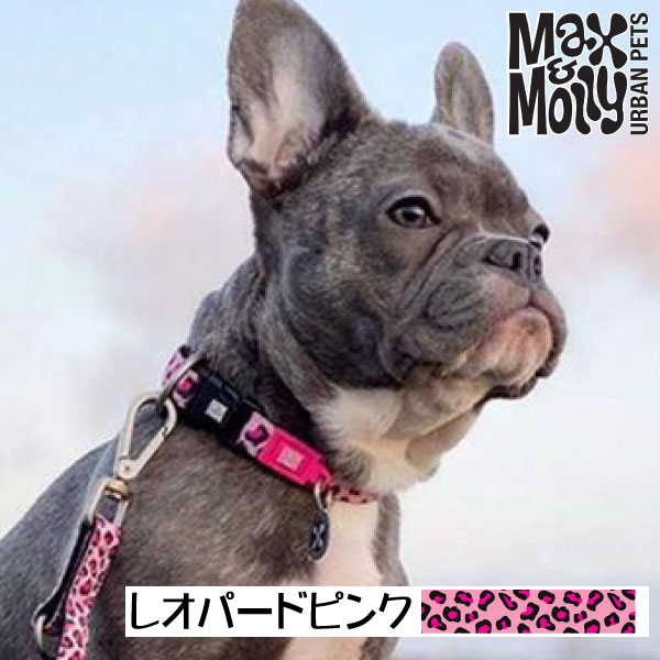 犬用 デジタル迷子札付き 首輪 カラー Max＆Molly Original Gear ピンクレオパード QRコード