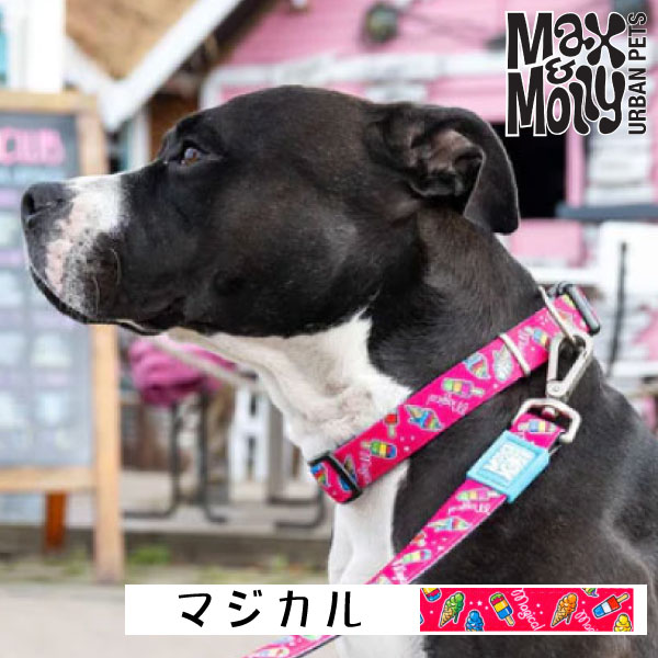 犬用 デジタル迷子札付き 首輪 カラー Max＆Molly Original Gear マジカル QRコード