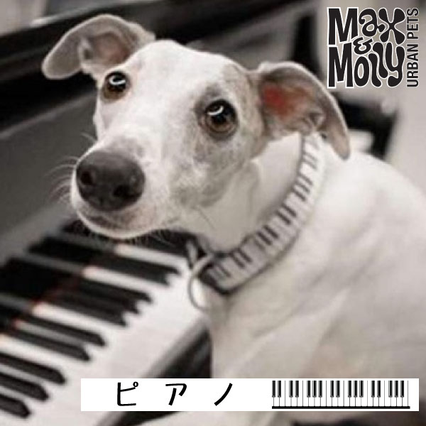 犬用 デジタル迷子札付き 首輪 カラー Max＆Molly Original Gear ピアノ QRコード