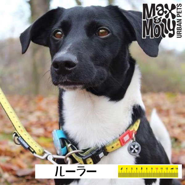 犬用 デジタル迷子札付き 首輪 カラー Max＆Molly Original Gear ルーラー QRコード