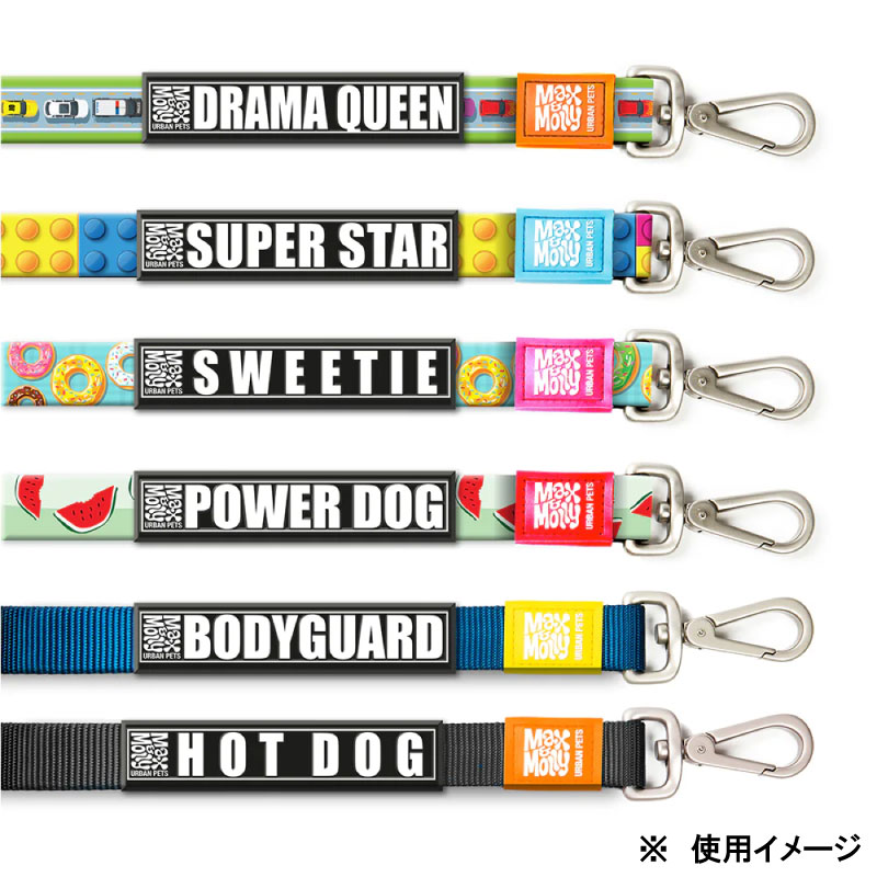Max＆Molly リードタグ