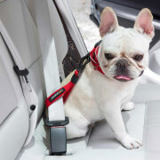 送料無料 DOGNESS 犬用 カーシートベルト ショート 安全 ドライブ 外出 旅行 自動車