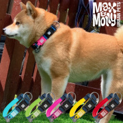 犬用 デジタル迷子札付き 首輪 カラー Max＆Molly Matrix Line QRコード
