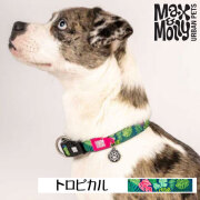犬用 デジタル迷子札付き 首輪 カラー Max＆Molly Original Gear トロピカル QRコード