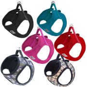 犬用 ハーネス RC Pets Step In Cirque Harness