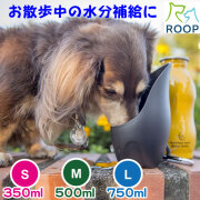 ROOPステンレスボトル