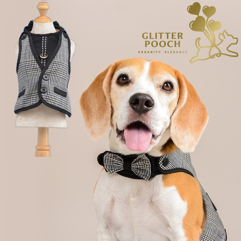 GLITTER POOCH グリッター・プーチ mr-black-hound