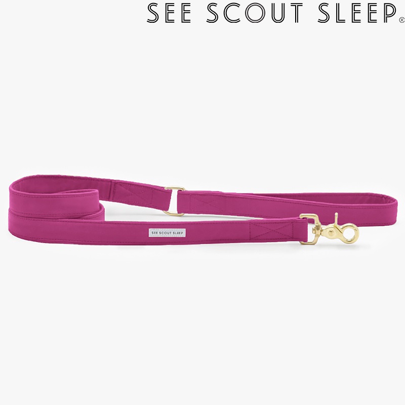 SSS TheScot リード