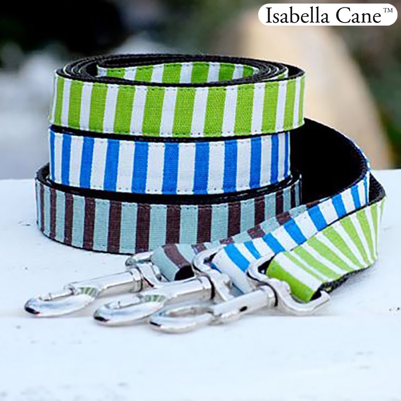 Isabella Cane Stripe リード　イメージ