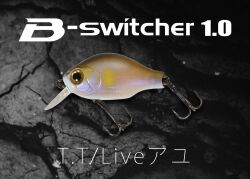 ビー・スイッチャー1.0