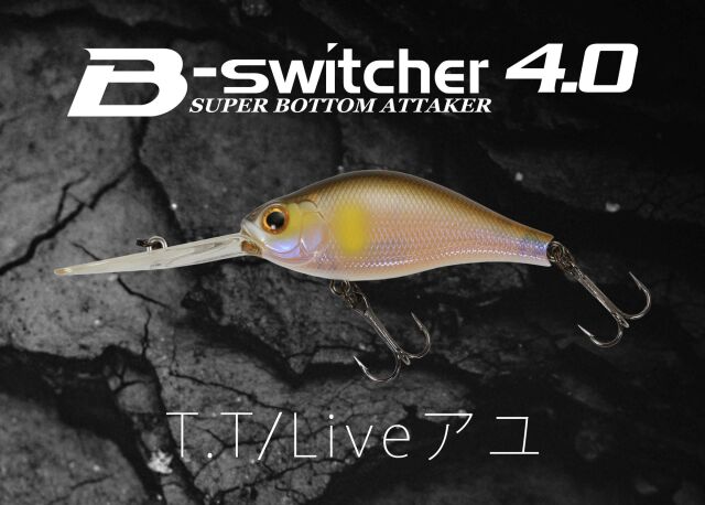 タリホー　オービット　4つ ASウオタニ 00303 SPII フルパワーキット K.ZZR1100C (KAWASAKI