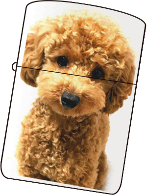 カスタムオーダーZIPPO（イラストや写真をフルカラーで）
