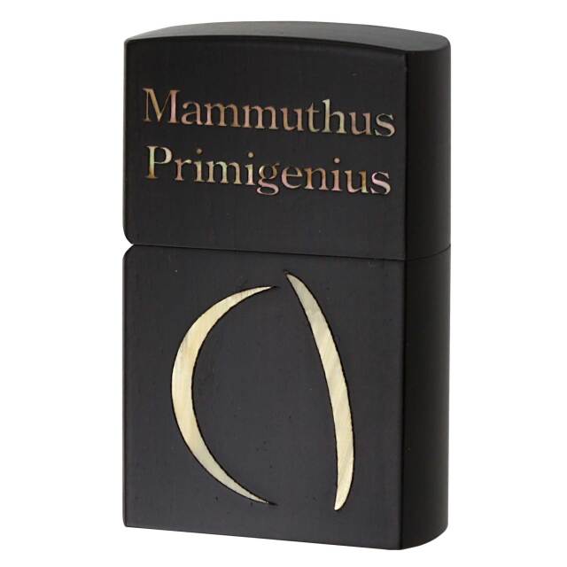 絶版/ヴィンテージ Zippo ジッポー 中古 製造年不明 MAMMUTHUS Primigenius Natural Wood 天然木 縞黒檀  [A]使用感少なく状態が良い