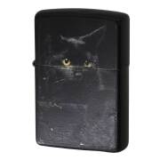 絶版/ヴィンテージ Zippo ジッポー 中古 2019年製造 Black Cat 黒猫 Black Matte 76491  [C]使用感あり傷汚れあり