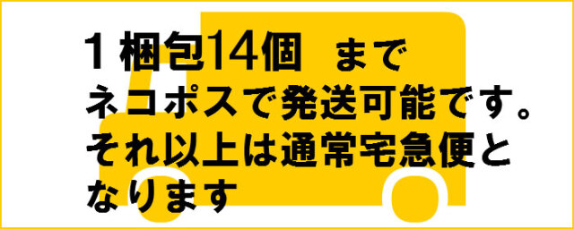 蔵出し zippo保管用 純正プラケース スリム専用 レア 1990年代-2000