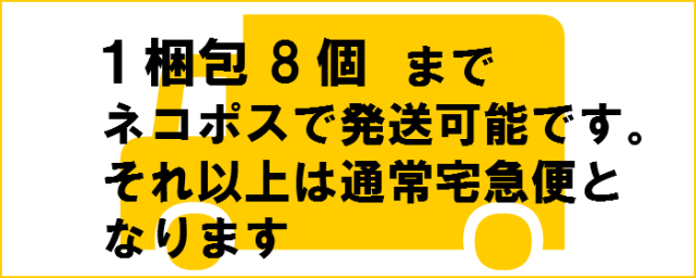 zippo保管用純正プラケース 1990年代-2000年代前半【ネコポス可】