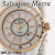 腕時計 レディース Salvatore Marra セラミック 3気圧防水 セラミックベルト ローマインデックス SM25151-PGWHR画像1