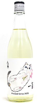 実験大成功　SP 状態C〕実験大成功！【SP】{D-BT05/SP34}《ブラントゲート》