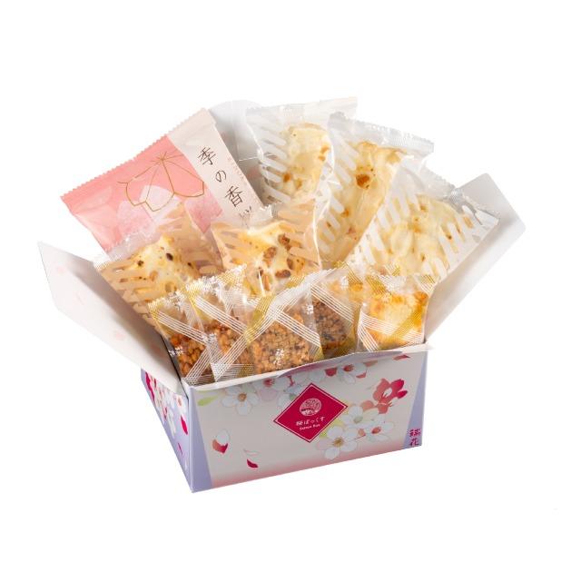 H02桜ぼっくす2026