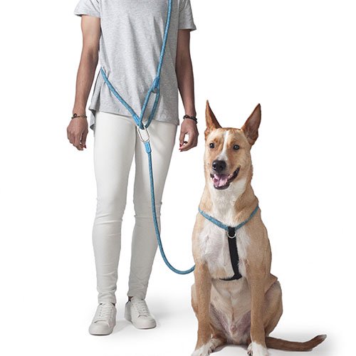 H5D クリックショルダーリード